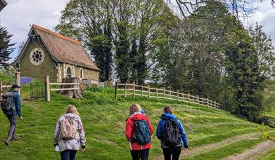 Wolds Walk 2024