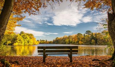 Hartsholme Country Park